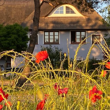 Landhaus Esperort Ahrenshoop Exterior photo