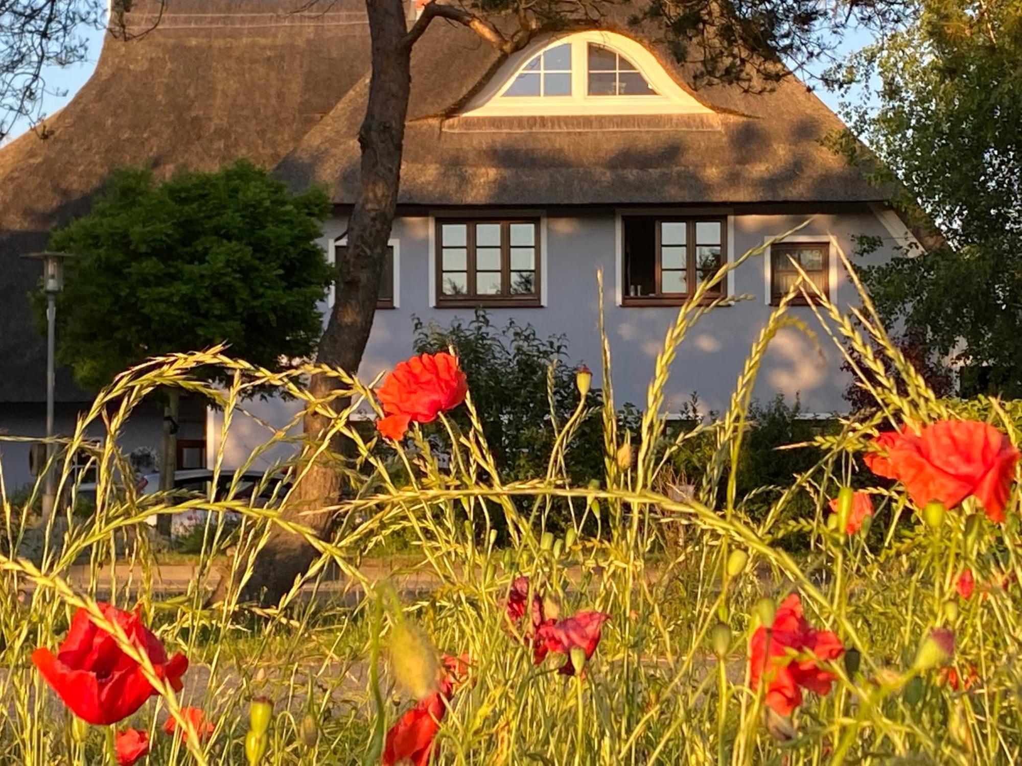 Landhaus Esperort Ahrenshoop Exterior photo